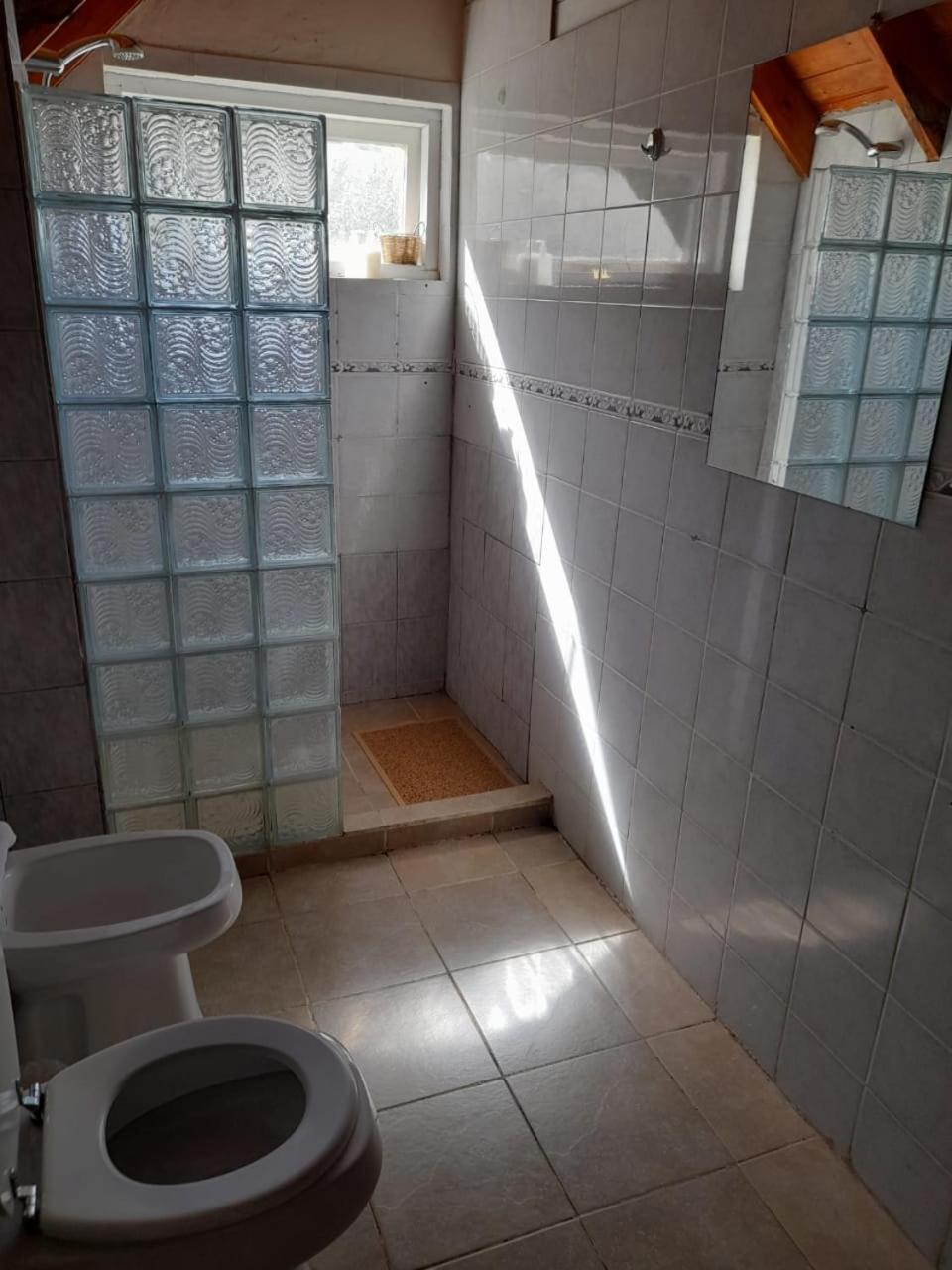 הוילה ויז'ה פאוניה Complejo Moquehue מראה חיצוני תמונה